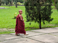 Young monk takes a walk inside the Golden Pagoda campus in Namsai