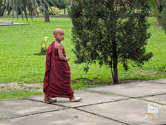Young monk takes a walk inside the Golden Pagoda campus in Namsai