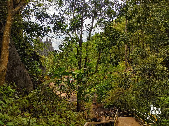 The dense green Yana jungle trail