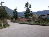 Mili Homestay, Anini
