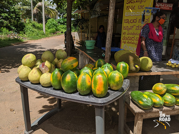 Organic grapefruit, papaya and jackfruit on sale near Savandurga