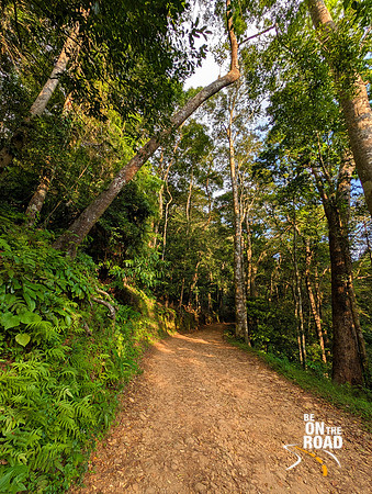 Perfect terrain for a Sunday motorcycle ride - Rosemala view point inside Shendurney Wildlife Sanctuary, Kerala