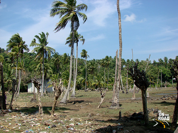 DSC09811