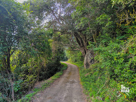 A walk by the banks of the Karaiyar Dam