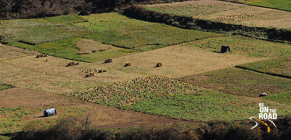 Rice Fields of Central Bhutan