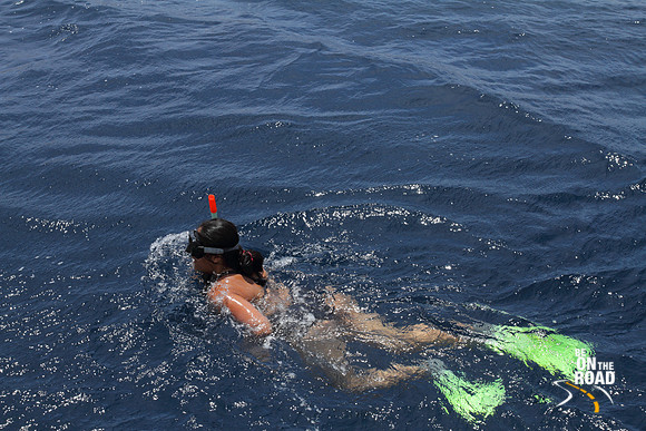 Snorkeling in the azure waters of Aqaba, Jordan