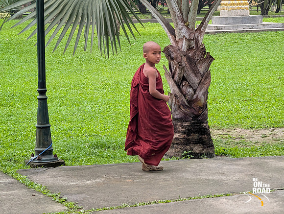 Young monk at Golden Pagoda, Namsai, Arunachal Pradesh
