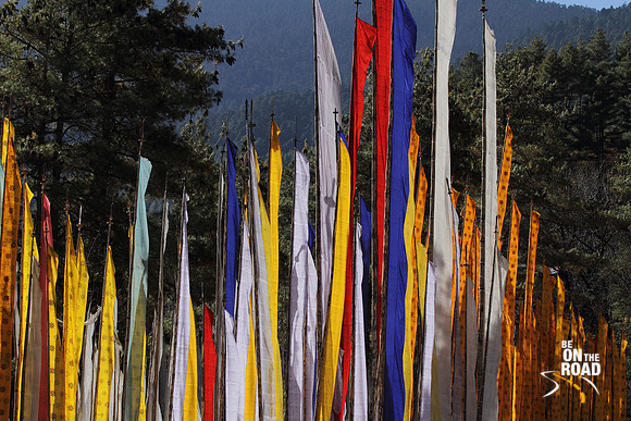 Colourful prayer flags outside Kurje Lakhang, Bumthang, Bhutan