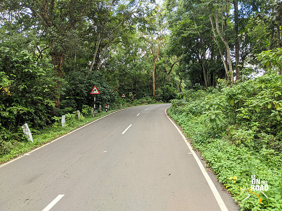The Lion Tailed Macaque Forest Highway
