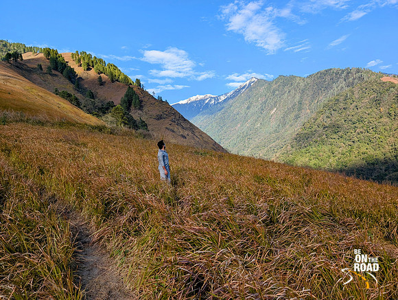 Stunning Emoli Grasslands near Anini, Arunachal Pradesh