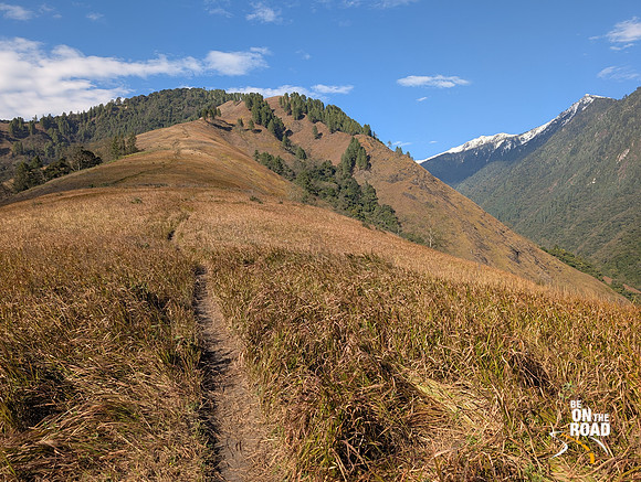 Climbing to the top of Emoli Grasslands near Anini in Arunachal Pradesh