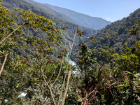 Lush scenes seen just down the slope from Mayodia pass, Arunachal Pradesh