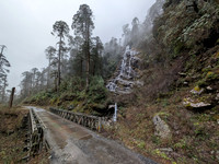 Lush route between Mechuka and Lamang in Arunachal Pradesh