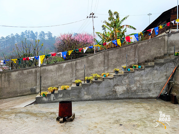 Peach and orange trees surround Chochi homestay at Kaho, Arunachal Pradesh