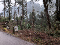 Lush views enroute Lamang from Mechuka