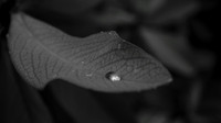 IMG_4696