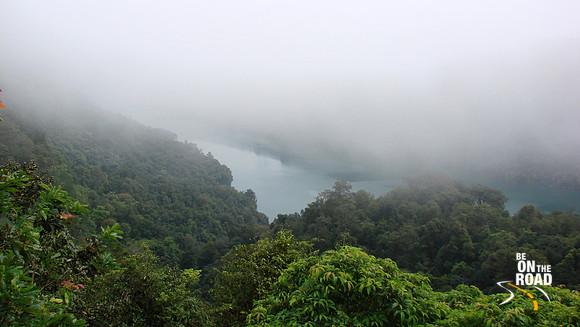 DSC00544