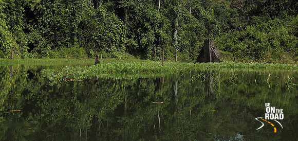 Dense Tropical rainforests of Royal Belum State Park, Malaysia