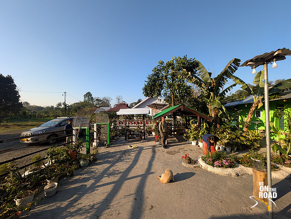 Rays of the morning sun deck up the 4 Seasons homestay at Roing, Arunachal Pradesh