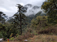 Picture perfect nature between Mechuka and Lamang