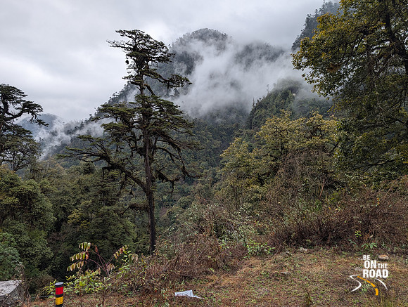 Picture perfect nature between Mechuka and Lamang