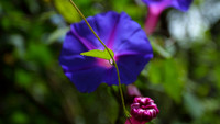 IMG_4658