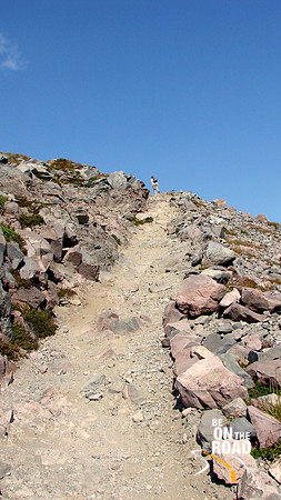 DSC02596