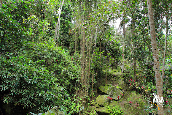 Green surroundings of Goa Gajah temple, Bali, Indonesia