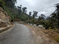 Lush green highway between Mechuka and Lamang dressed in fresh rain