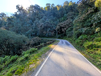 The lush environment of Mehao Wildlife Sanctuary near Roing, Arunachal Pradesh