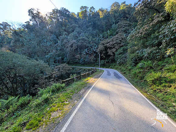 The lush environment of Mehao Wildlife Sanctuary near Roing, Arunachal Pradesh