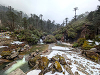Mechuka to Lamang - Scenic Forest Highway