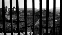 IMG_5579