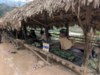 A local green market near Aalo next to the highway