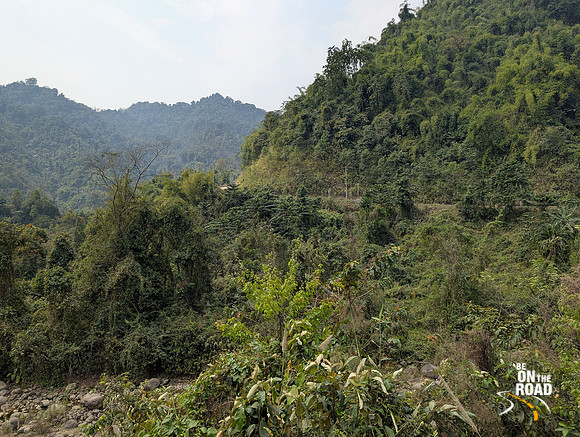 Dense vegetation as seen from the highways of lower Arunachal Pradesh