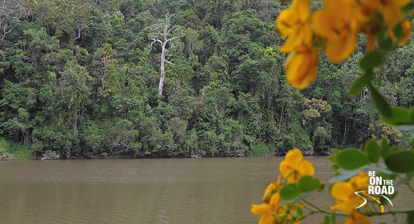 Barron River and the Rainforests at Kuranda, Queensland