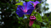 IMG_4660
