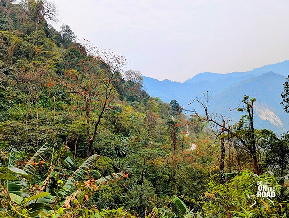 Colourful nature with palash flowers near Hawa Camp, Arunachal Pradesh