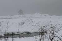 The misty snow world of Lamang, Arunachal Pradesh