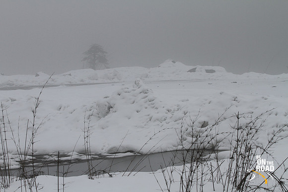 The misty snow world of Lamang, Arunachal Pradesh